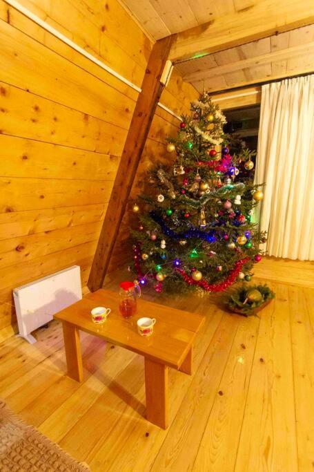 A-Frame Mestia Kültér fotó